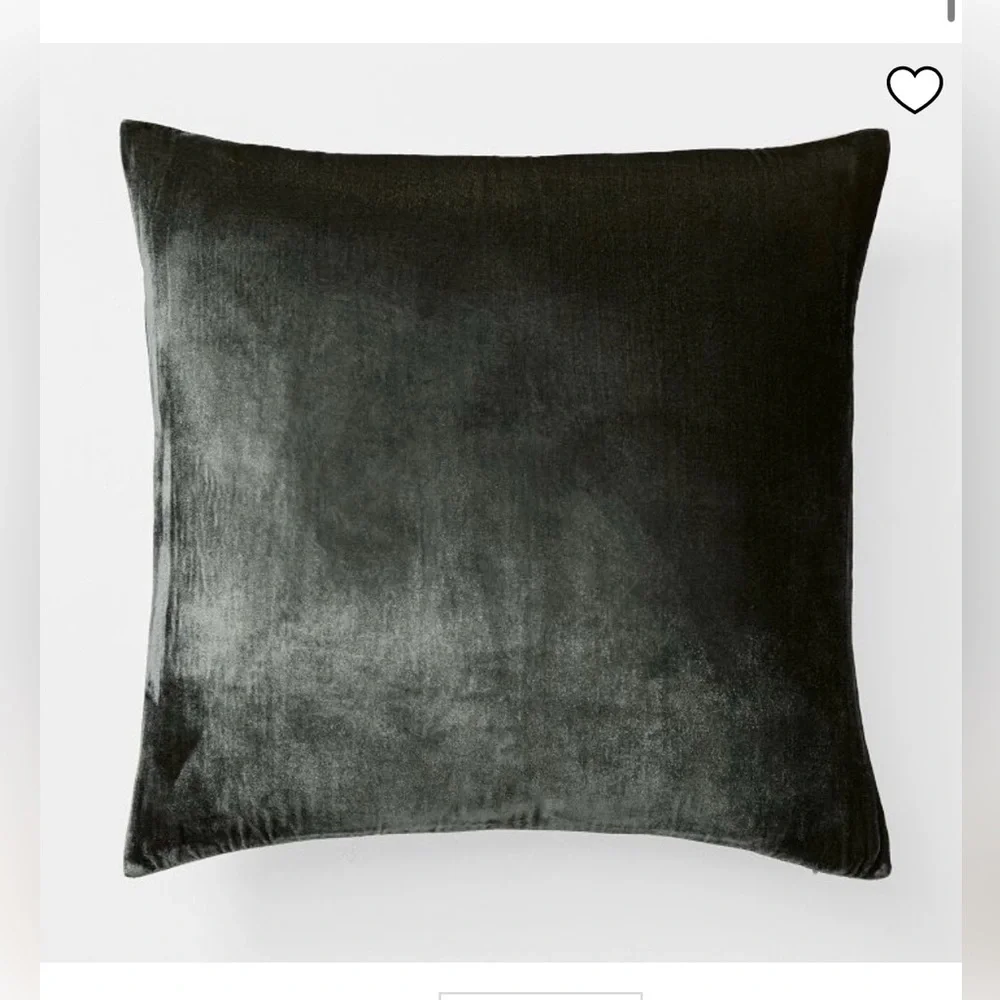 West Elm Lush Velvet Pillow Cover 20x20